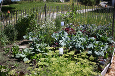 Heimatgarten von Sabrina Kreisle und Denise Linder in Halblech, Ortsteil Kniebis